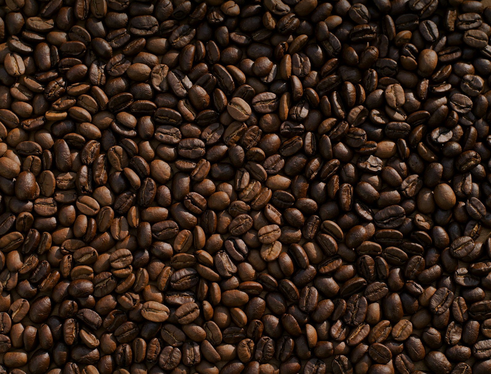 Frische Kaffeebohnen und Röstung für Spezialitätenkaffee
